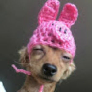 Meet your Posher, Jackie